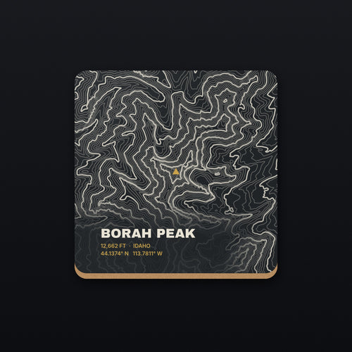 Borah Peak Topo Coaster, flat view