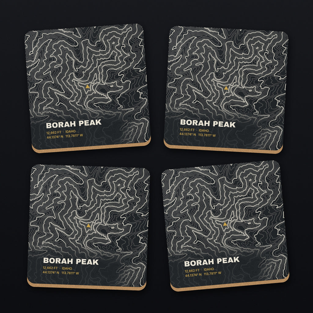 Borah Peak Topo Coaster Set, all 4 coasters