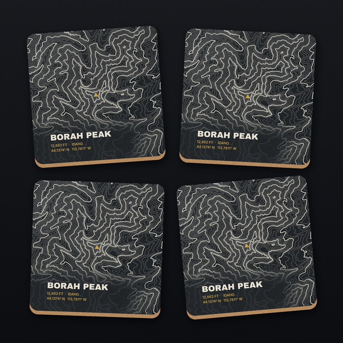Borah Peak Topo Coaster Set, all 4 coasters