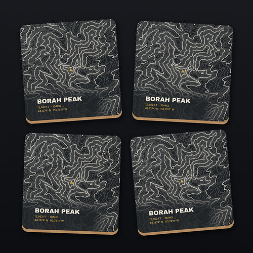 Borah Peak Topo Coaster Set, all 4 coasters