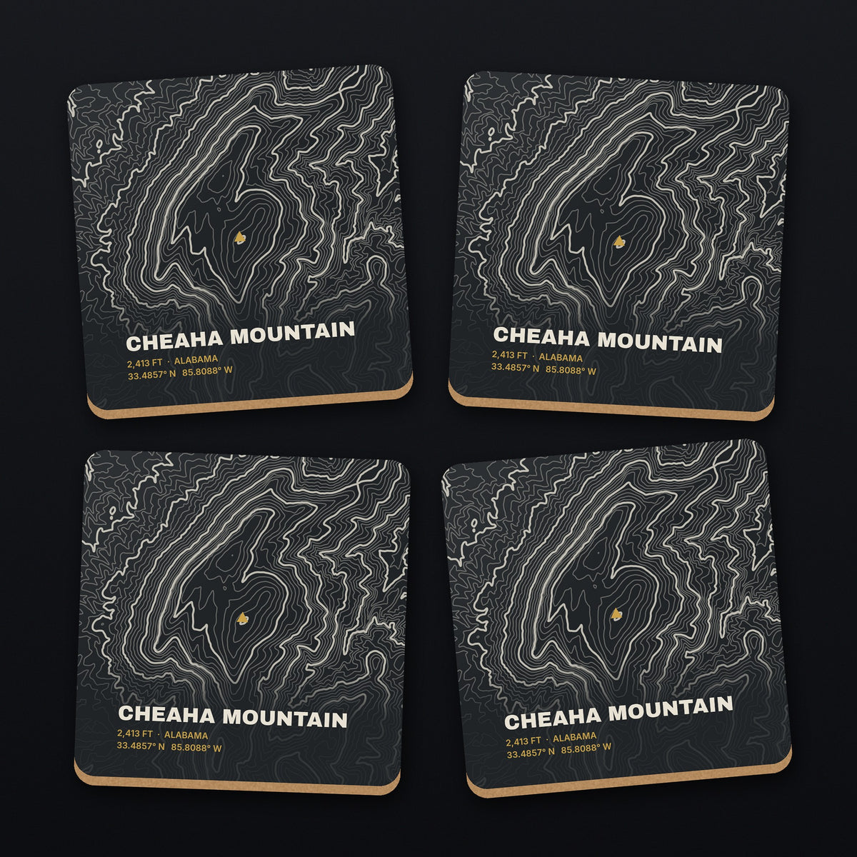 Cheaha Mountain Topo Coaster Set, all 4 coasters