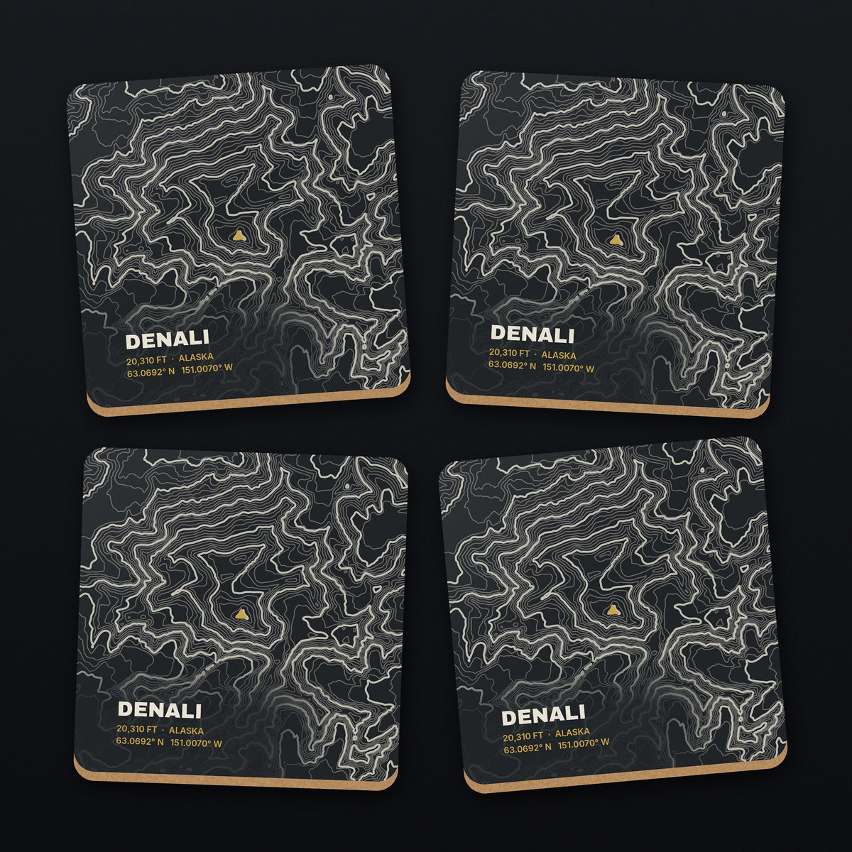 Denali Topo Coaster Set, all 4 coasters