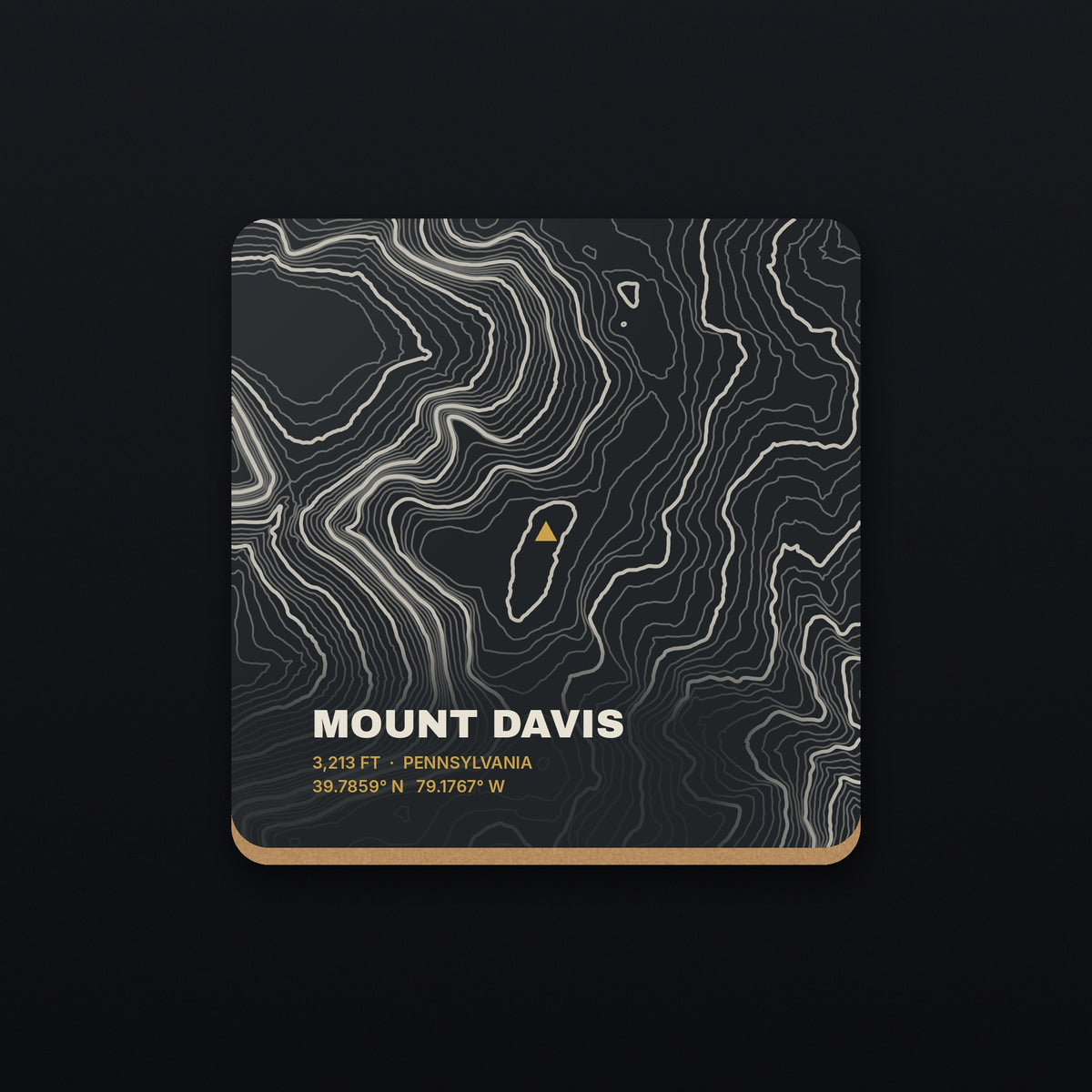 Mount Davis Topo Coaster, flat view