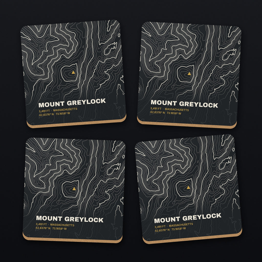 Mount Greylock Topo Coaster Set, all 4 coasters