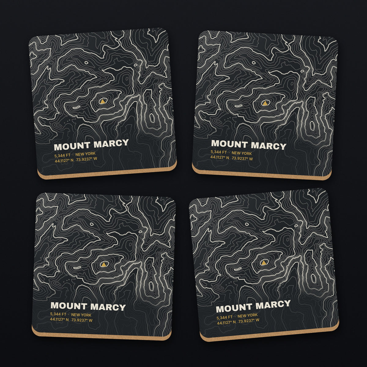 Mount Marcy Topo Coaster Set, all 4 coasters