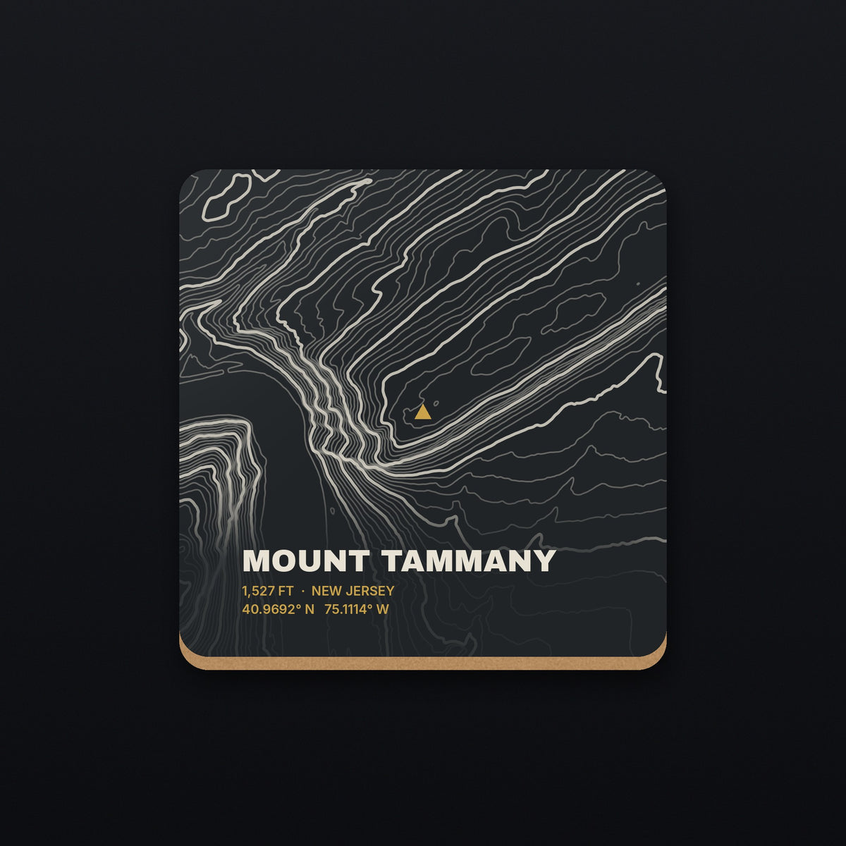 Mount Tammany Topo Coaster, flat view