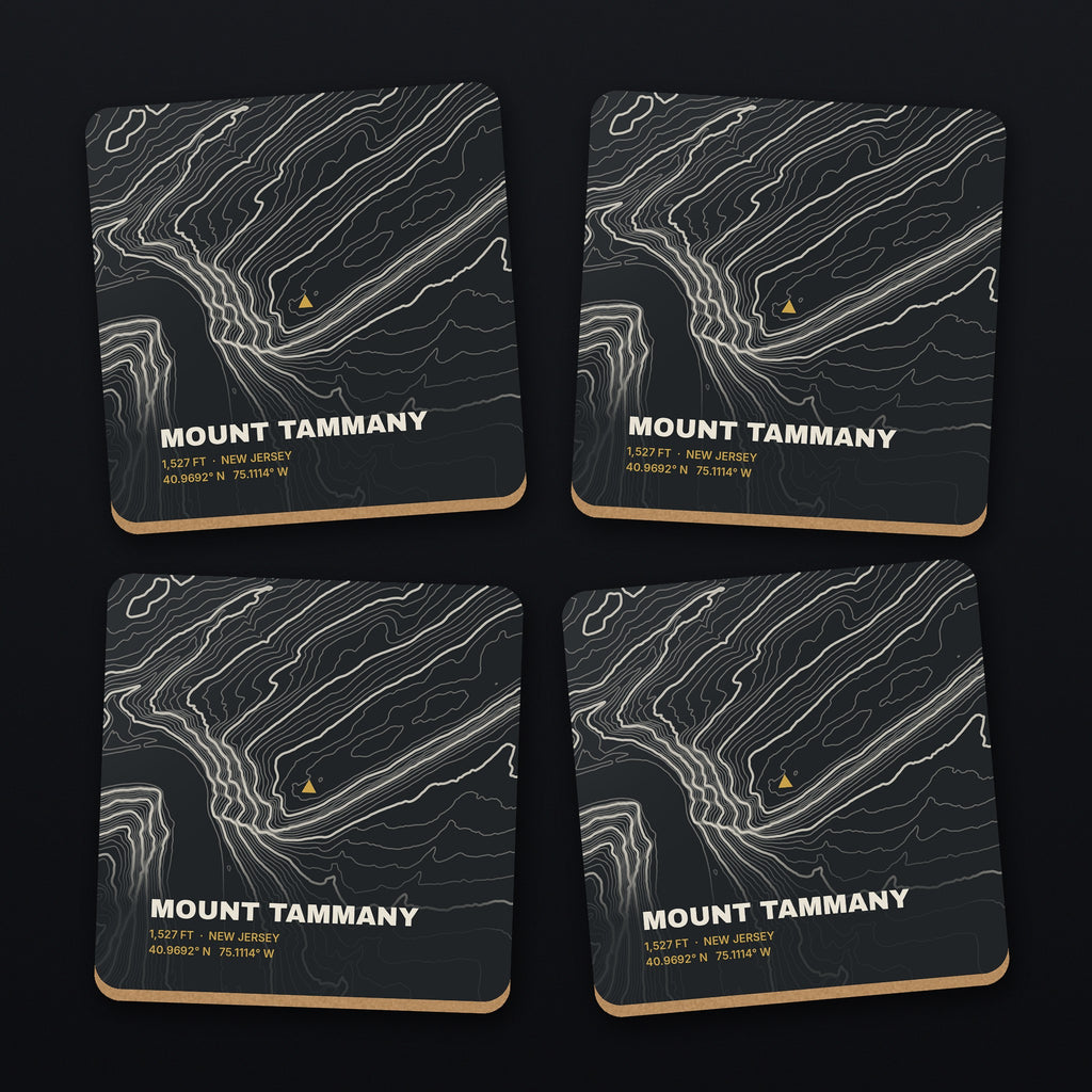 Mount Tammany Topo Coaster Set, all 4 coasters