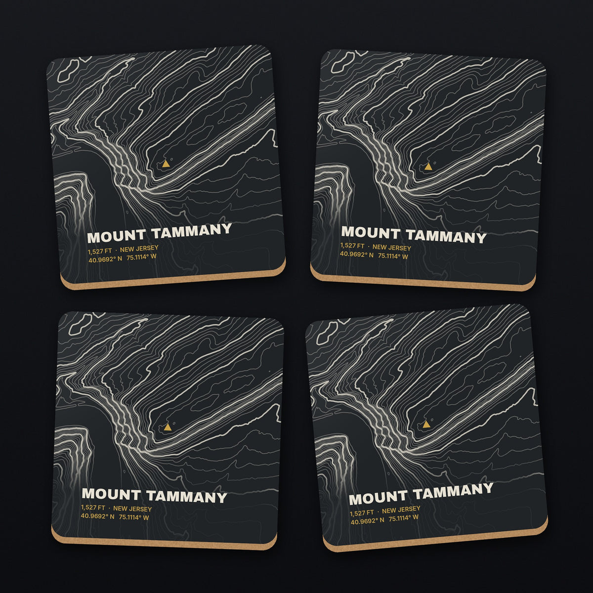 Mount Tammany Topo Coaster Set, all 4 coasters