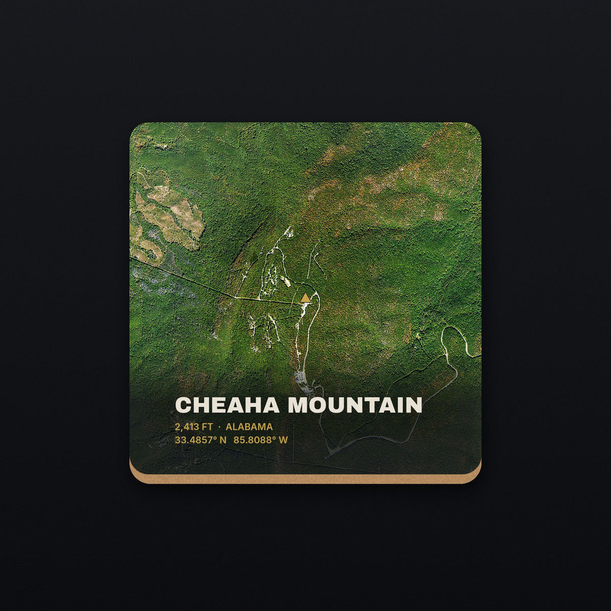 Cheaha Mountain Satellite Coaster, flat view