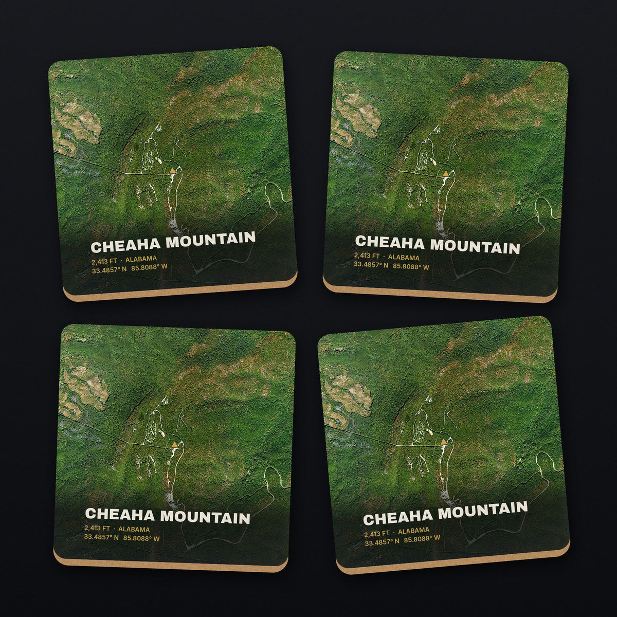 Cheaha Mountain Satellite Coaster Set, all 4 coasters