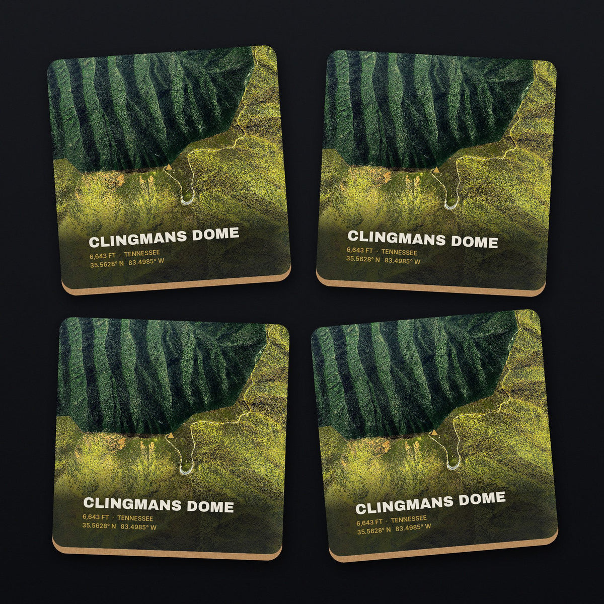 Clingmans Dome Satellite Coaster Set, all 4 coasters