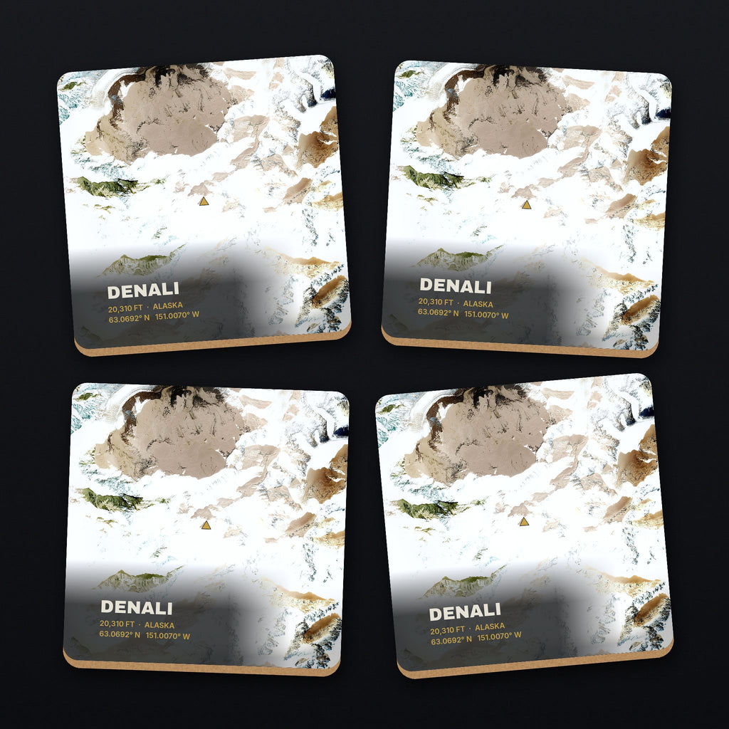 Denali Satellite Coaster Set, all 4 coasters
