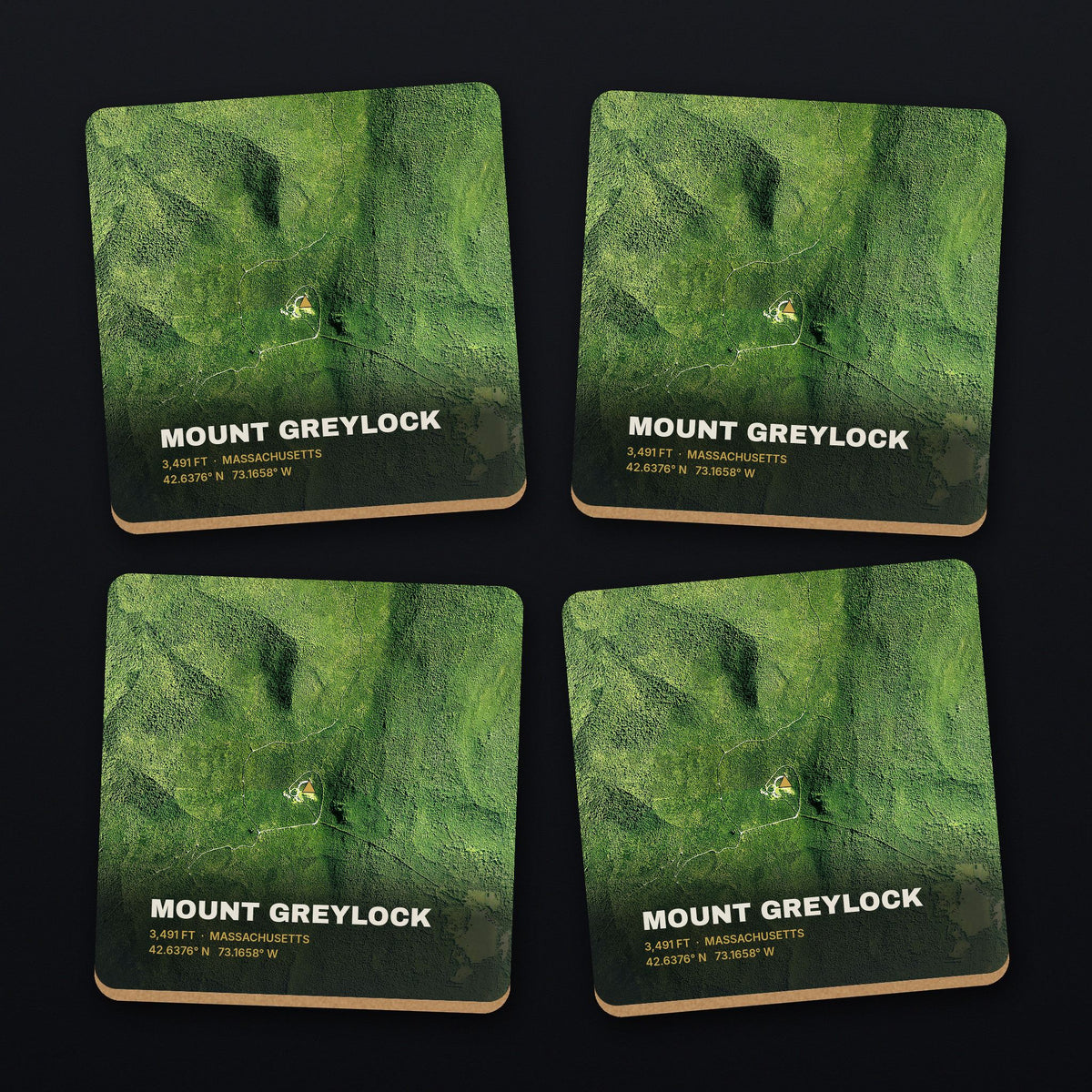 Mount Greylock Satellite Coaster Set, all 4 coasters