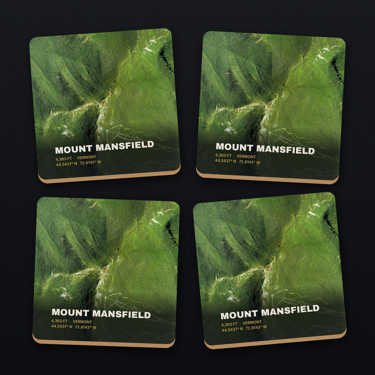 Mount Mansfield Satellite Coaster Set, all 4 coasters