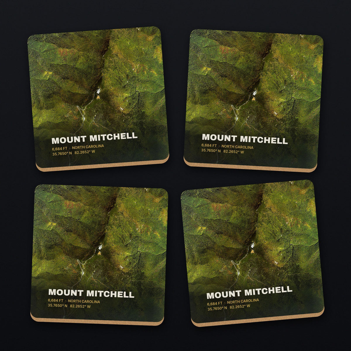 Mount Mitchell Satellite Coaster Set, all 4 coasters