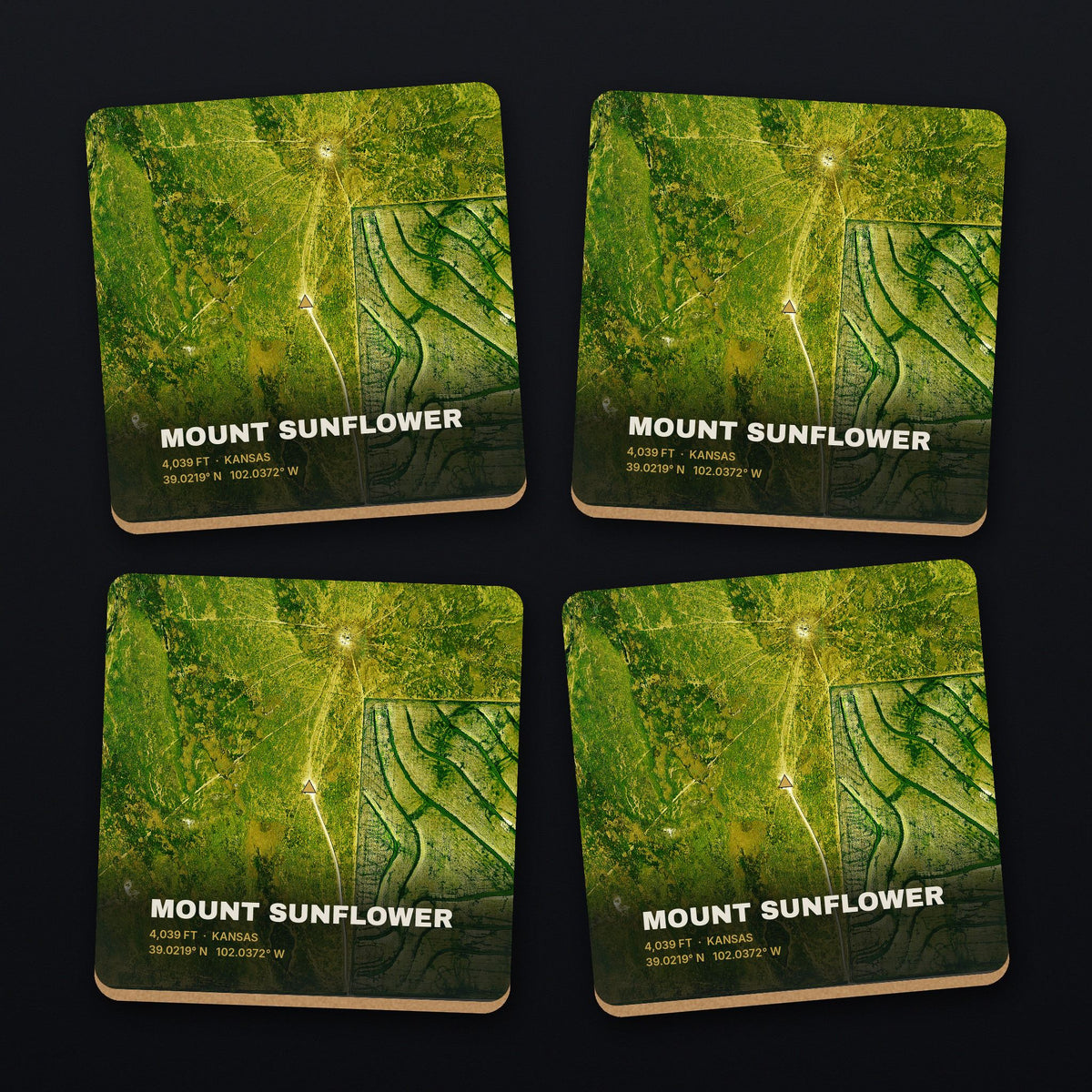 Mount Sunflower Satellite Coaster Set, all 4 coasters