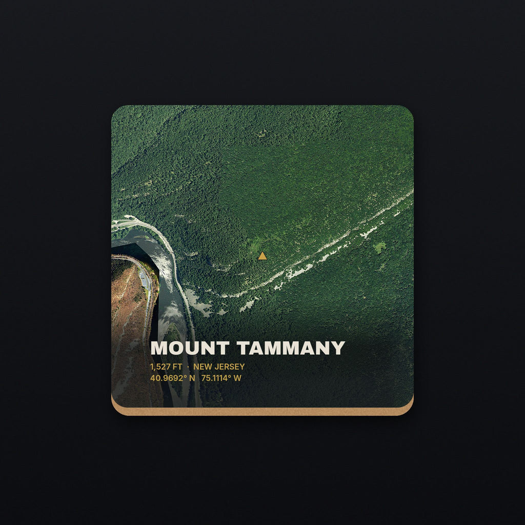 Mount Tammany Satellite Coaster, flat view