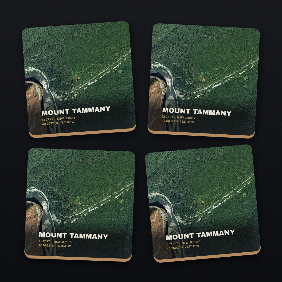 Mount Tammany Satellite Coaster Set, all 4 coasters