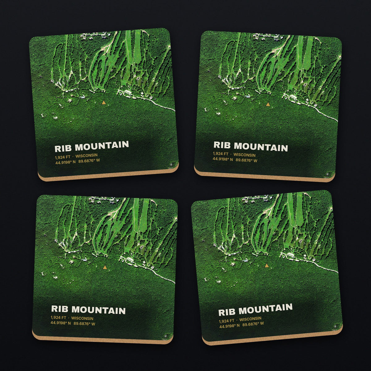Rib Mountain Satellite Coaster Set, all 4 coasters