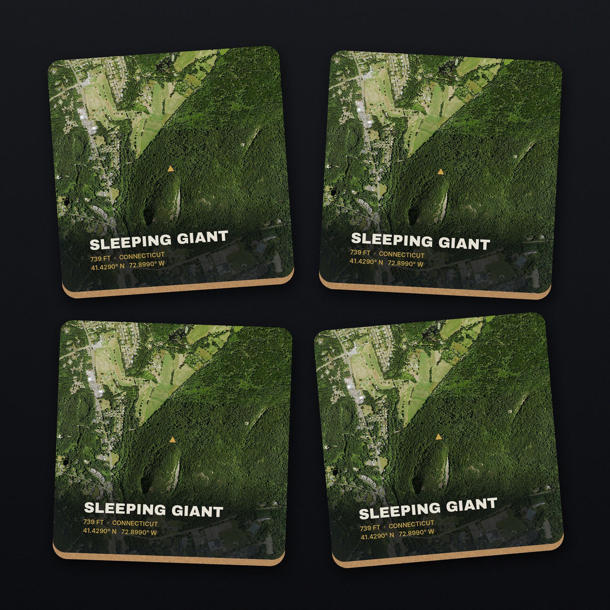Sleeping Giant Satellite Coaster Set, all 4 coasters