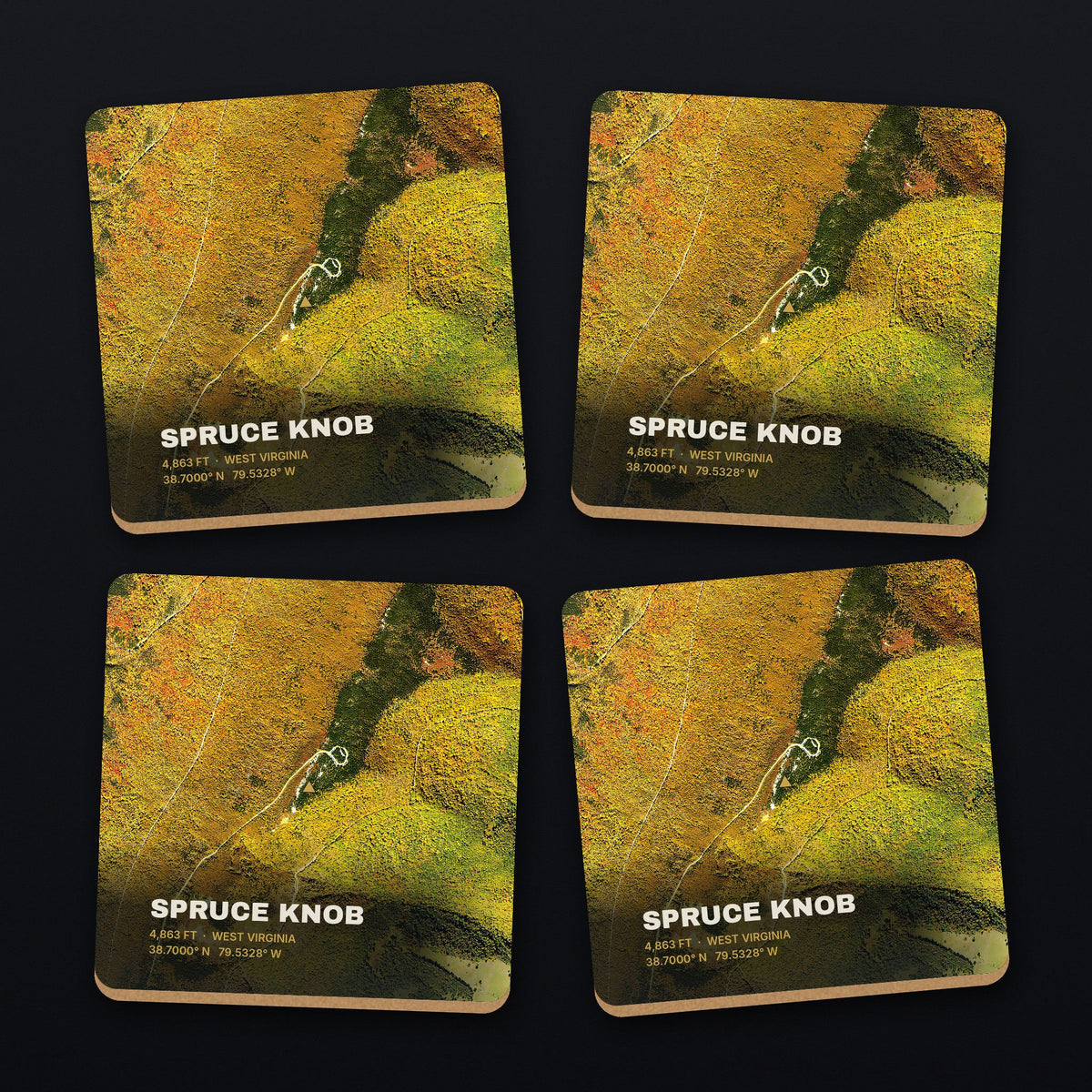 Spruce Knob Satellite Coaster Set, all 4 coasters