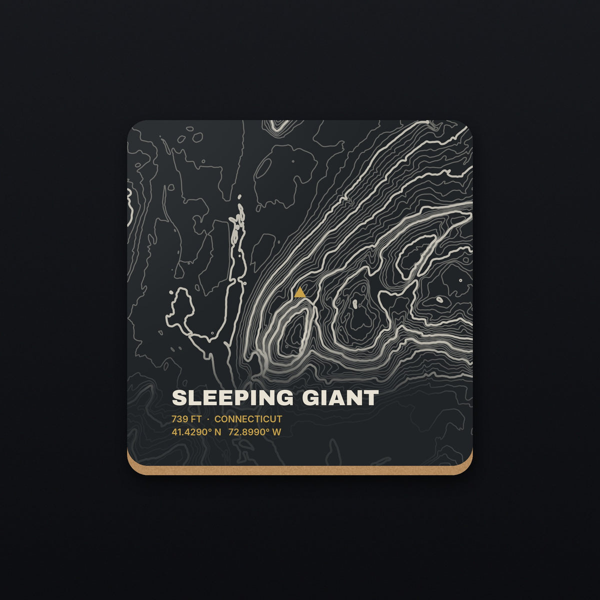 Sleeping Giant Topo Coaster, flat view