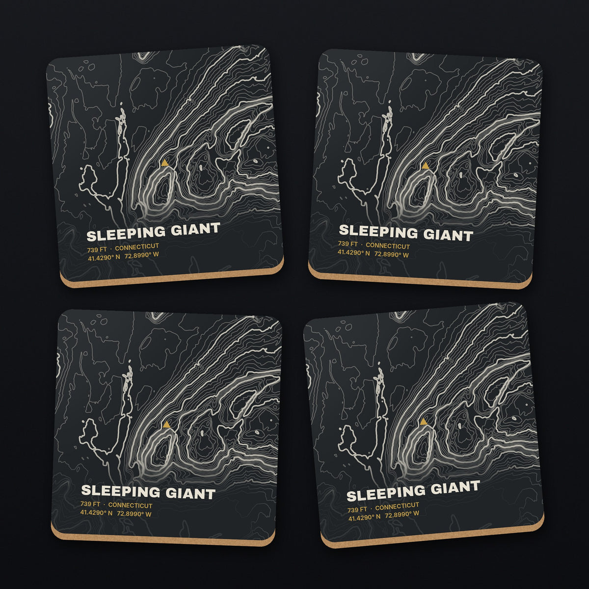 Sleeping Giant Topo Coaster Set, all 4 coasters
